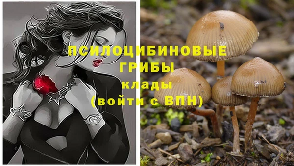 круглые Рославль