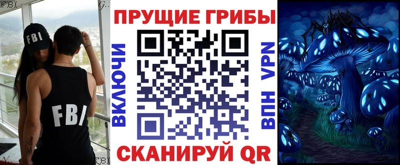 мега ссылка где купить наркоту Болохово Псилоцибиновые грибы Cubensis